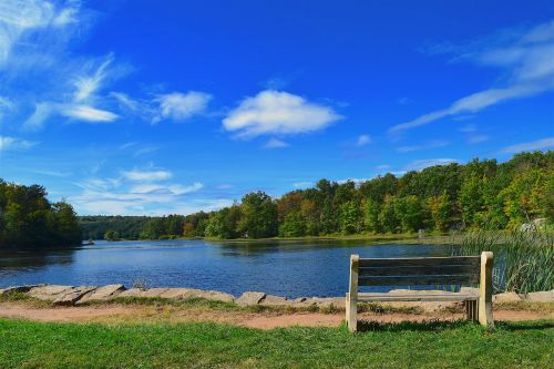 bench park lake
