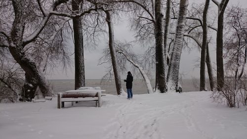 bench winter snow