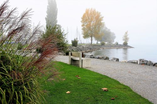 bench lake autumn