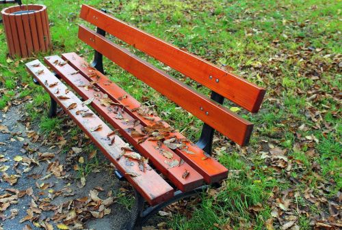 bench park autumn