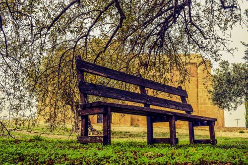 bench park autumn