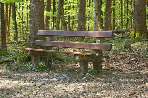 bench  resting place  forest