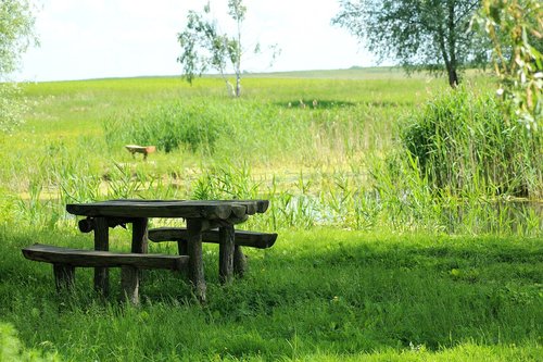 bench  nature  picnic