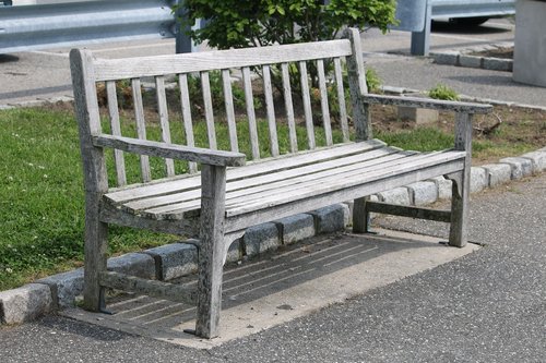 bench  wood  summer