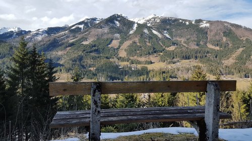 bench  views  nature