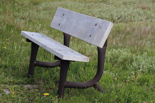 bench  newfoundland  grass