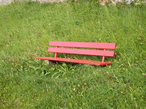 bench meadow grass