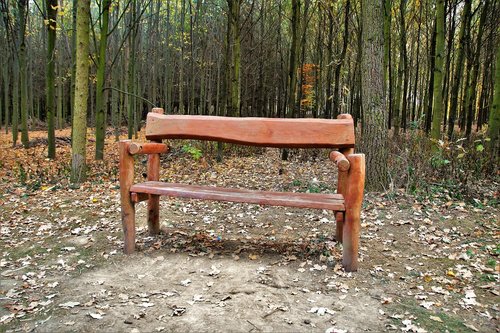 bench  wooden  lone