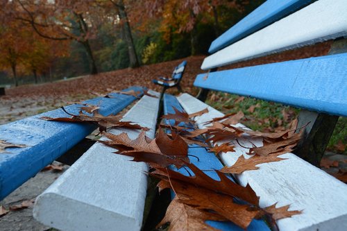 bench  park  seat