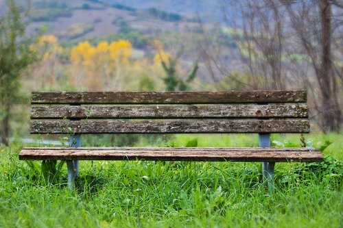 bench  wood  nature