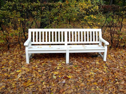 bench  white  park