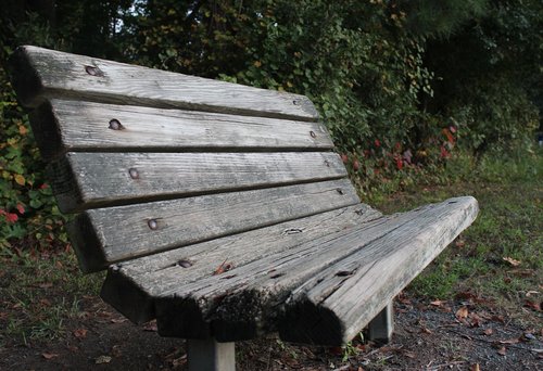 bench  relax  wood