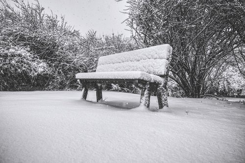 bench  snow  winter