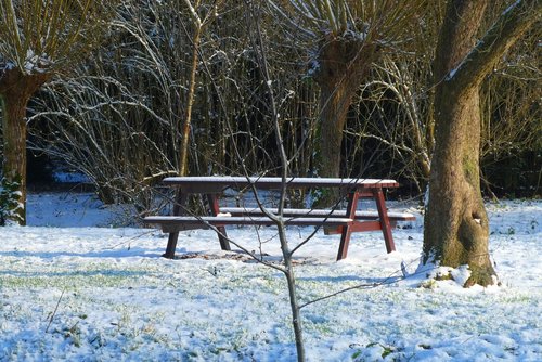 bench  forest  snow