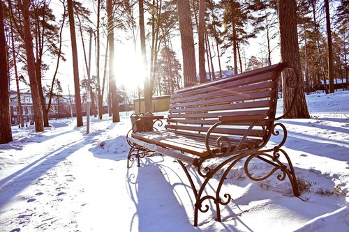 bench  morning  winter