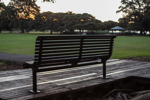 bench  park  sunset