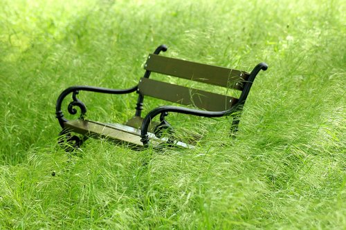 bench  grass  green