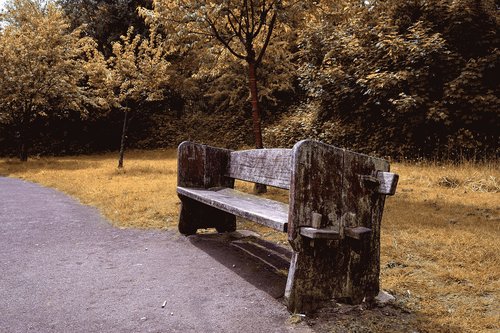 bench  park  wooden bench