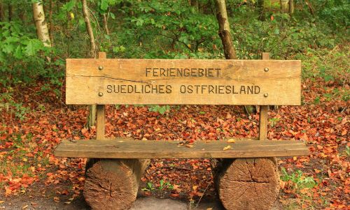 bench bank forest