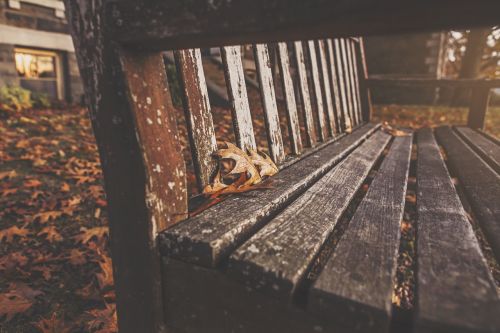 bench park rest