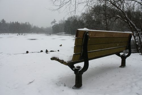 bench lake landscape