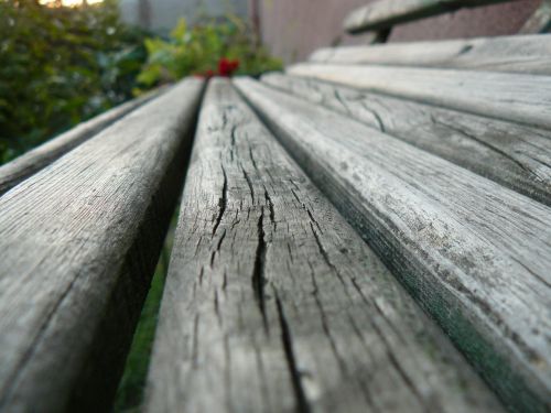 bench garden wood