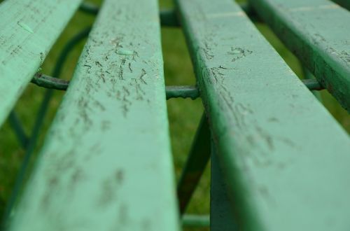 bench green autumn