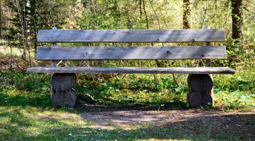 bench wood nature