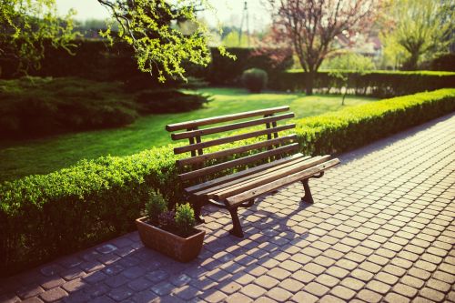 bench garden green