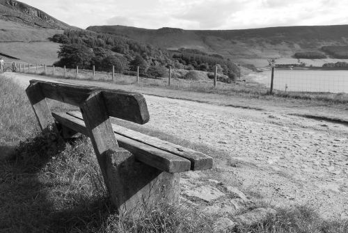 bench black and white wood