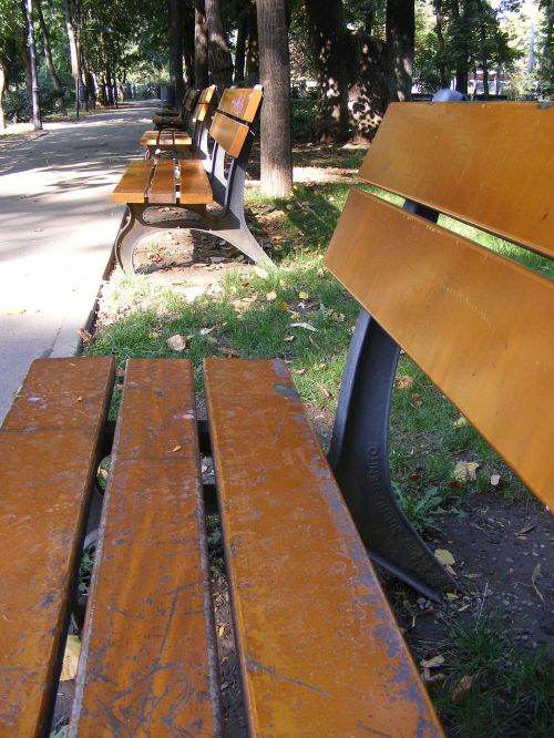 bench benches park