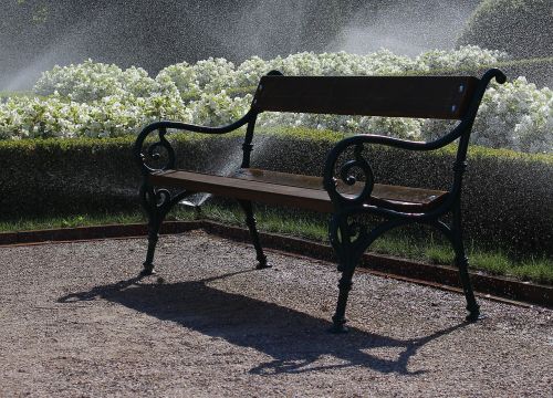 bench park water