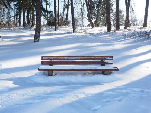 bench snowy bank