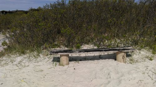 Bench Beach