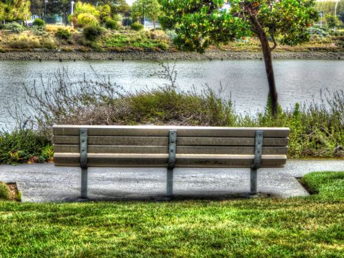 Bench By The Lake