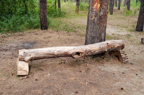 Bench From Logs