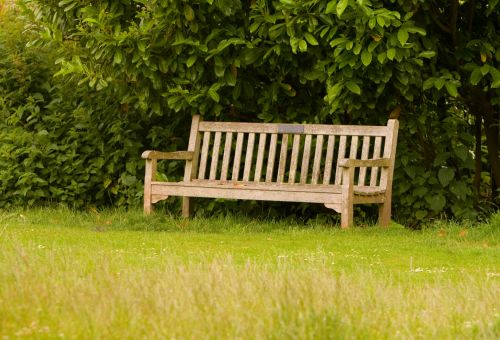 Bench In Park