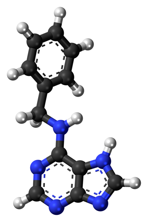 benzylaminopurine hormone molecule