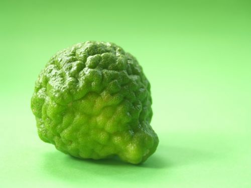 bergamot fruit leaf