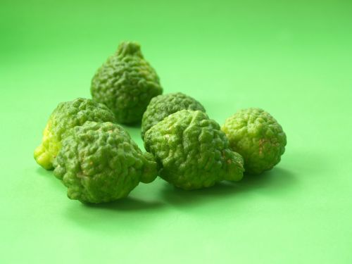 bergamot fruit leaf