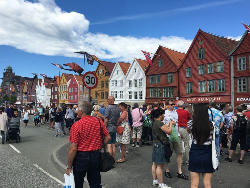 bergen market fish