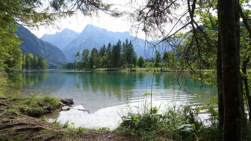 bergsee almsee austria