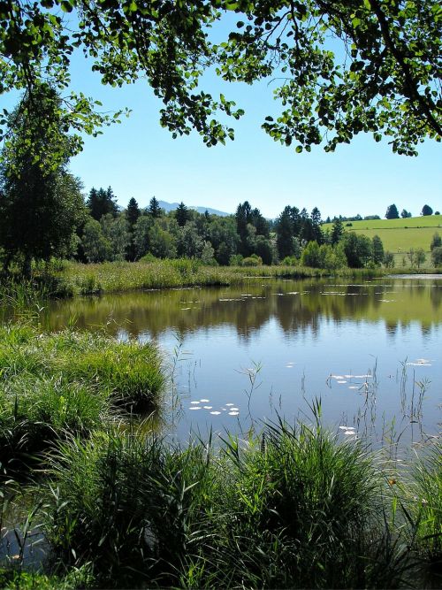 bergsee alpine foothills lake