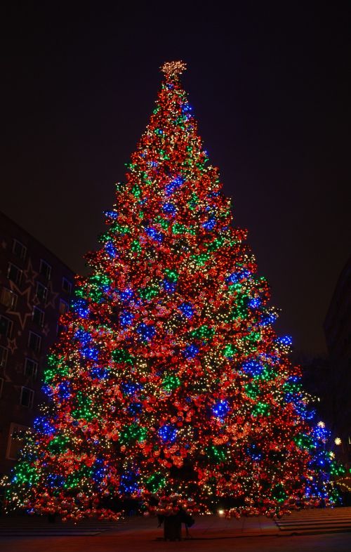 berlin christmas tree