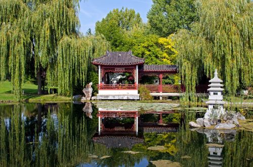 berlin marzahner garden reflection in water