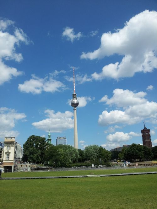 berlin tv tower meadow