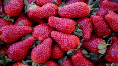 berries strawberries healthy