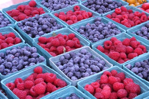 berries fresh blueberries