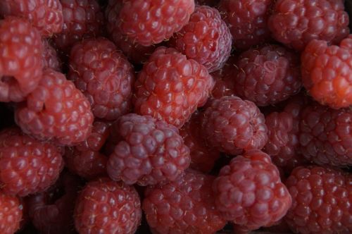 berries raspberries red