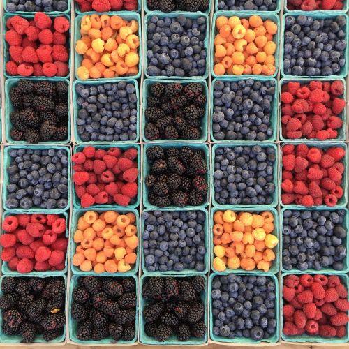 berries blueberries boxes